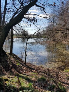 Teiche an den Pfarrfichten zwischen Garnsdorf und Auerswalde