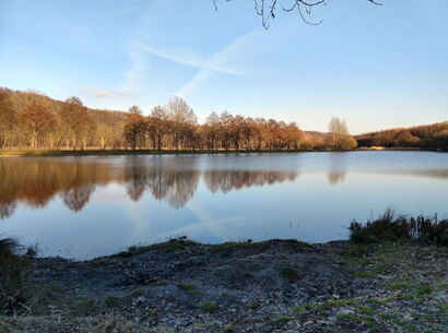 Regenrückhaltebecken Auerswalde